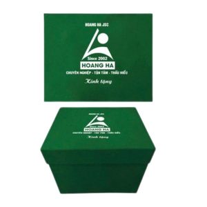 Hộp Xi Xanh Lá Lót Lụa In Logo Cao Cấp Hoang Ha JSC HXXL6