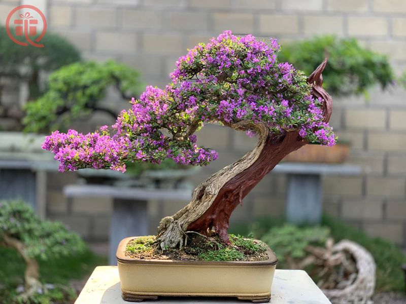 TOP 25+ mẫu quà tặng quân đội 22/12 ý nghĩa, thiết thực 7 TOP 25+ mẫu quà tặng quân đội 22/12 ý nghĩa, thiết thực
