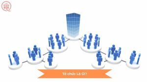 Tổ Chức Là Gì?