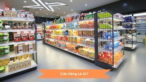 Cửa Hàng Là Gì?