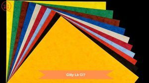 Giấy là gì?